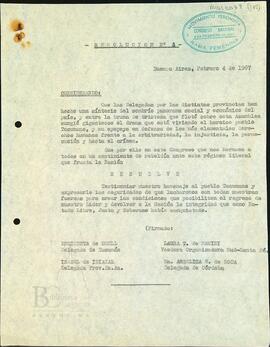 "Resolución N° 3"