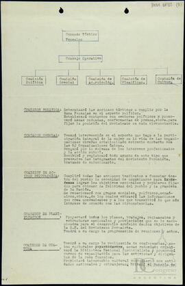 [Organigrama de las comisiones del Consejo Operativo del Comando Táctico Femenino]